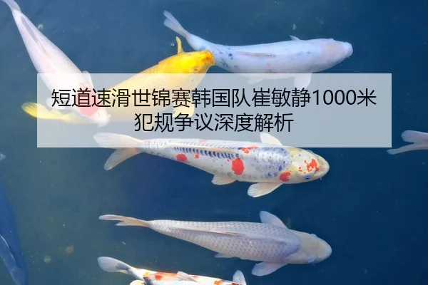 短道速滑世锦赛韩国队崔敏静1000米犯规争议深度解析