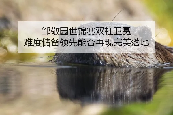 zou-jing-yuan-shi-jin-sai-shuang-gang-wei-mian-nan-du-chu-bei-ling-xian-neng-fou-zai-xian-wan-mei-luo-di-2-472.jpg