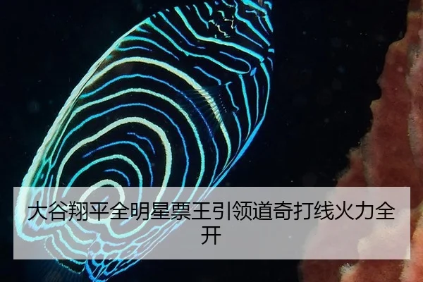 大谷翔平全明星票王引领道奇打线火力全开