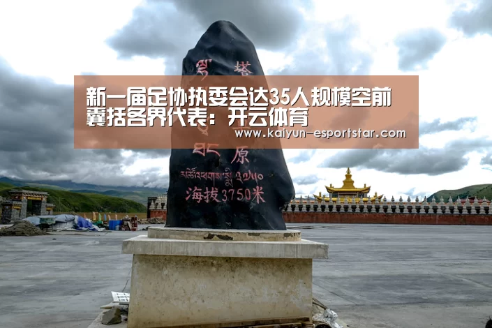 新一届足协执委会达35人规模空前 囊括各界代表:开云体育(图2) 开云赛事