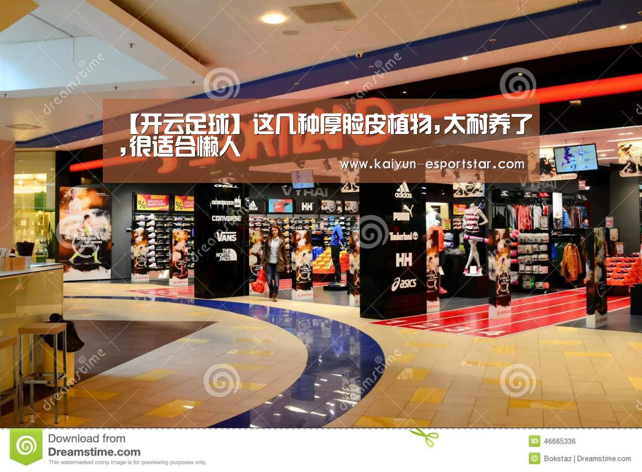 开云篮球